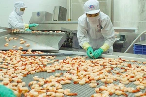 Bất chấp dịch, người Mỹ chi hơn 300 triệu USD để 'ăn' tôm VN