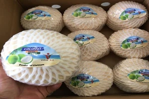 Ngạc nhiên khi Thái Lan nhập khẩu dừa từ Việt Nam tăng 300%