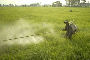 Thuốc trừ sâu từ Trung Quốc nhập vào Việt Nam vẫn tăng mạnh 