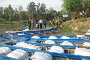 Bất thường đường ngoại nhập vào Việt Nam