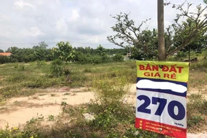 Bắt đầu xuất hiện nhà đầu tư bán cắt lỗ, giảm giá để thoát hàng