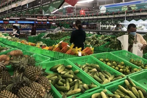 Thí điểm cung cấp 80 ngàn túi nông sản/tuần cho TP.HCM
