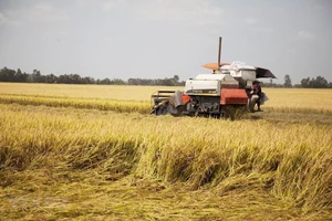 Bộ trưởng Nông nghiệp: Pháo đài chống dịch chứ không phải pháo đài kinh tế