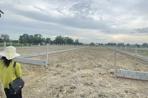 Đề xuất lên thành phố, giá đất Củ Chi hiện giờ ra sao?