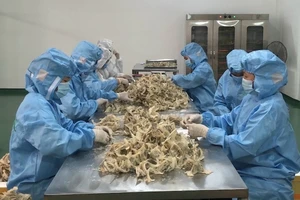 Một kg tổ yến xuất khẩu có giá hơn 46 triệu đồng