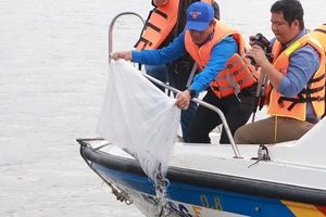 Thả hơn 390.000 con tôm càng xanh, cá lăng giống xuống sông Sài Gòn