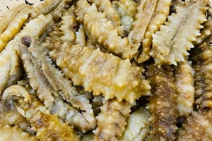 ‘Nhân sâm biển’ Việt Nam xuất ngoại tăng mạnh 