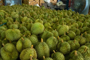 Những con số ấn tượng của ngành nông nghiệp Việt Nam năm 2023 