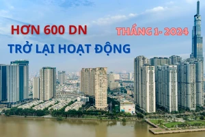 Hàng trăm công ty bất động sản quay lại hoạt động đầu năm 2024