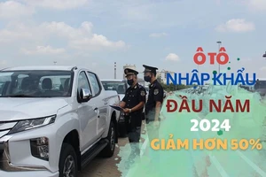 Người Việt nhập khẩu ô tô Indonesia nhiều nhất đầu năm