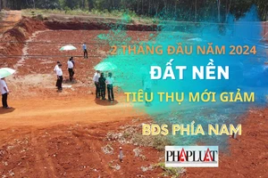 Chỉ bán mới được 7 sản phẩm đất nền trong hai tháng đầu năm 2024