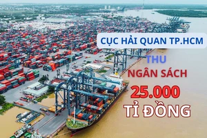 TP.HCM: Thu thuế từ ô tô nhập khẩu giảm hơn 3.000 tỉ đồng 