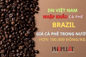 Giá cà phê Việt hơn 100.000 đồng/kg, doanh nghiệp phải tìm mua cà phê Brazil