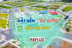Đất nền 'rã băng', giá dưới 2 tỉ đồng được tìm kiếm nhiều đầu năm 2024