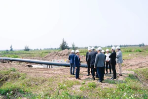 Đầu năm, 2 nhóm 'cá mập' rục rịch săn đất nền