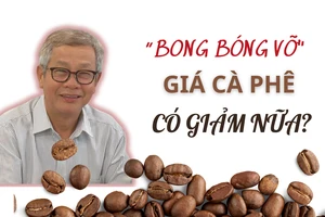'Bong bóng' giá cà phê bắt đầu tan vỡ, sắp tới sẽ ra sao?