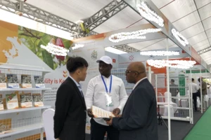 Bị ‘xù’ hợp đồng hàng loạt, DN hạt điều Việt Nam báo động đỏ 