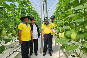 Phát triển nông nghiệp đô thị để tăng sức khỏe cho người dân