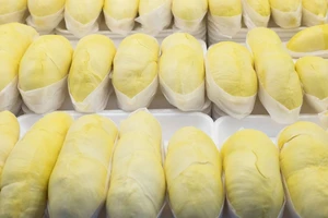 Hàng loạt trái cây Việt chờ cấp ‘visa’ xuất ngoại 