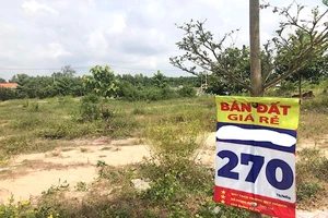 Đề xuất bổ sung thêm 570 tuyến đường mới vào dự thảo bảng giá đất TP.HCM