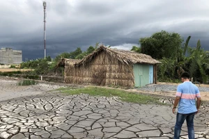 Gần 9.000 hồ sơ đất đai bị tắc: Cục Thuế TP.HCM kiến nghị áp dụng bảng giá đất hiện hành