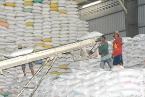 Ấn Độ mở khóa bán gạo ra thế giới, gạo Việt bị ảnh hưởng ngay lập tức