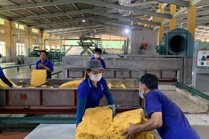 'Vàng trắng' thắng lớn nhờ... ô tô điện