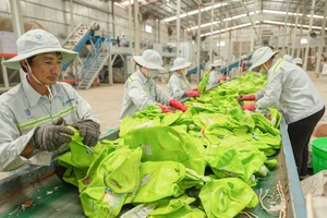 Chuyển đổi xanh: Đừng để doanh nghiệp bơi một mình