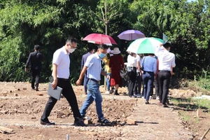 Thị trường đất nền cuối năm: Hiếm hoi cơ hội giữa biến động