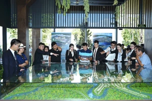 'Ông lớn' bất động sản đổ vốn về tỉnh: Thị trường liệu có trỗi dậy?