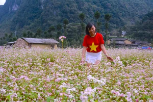 Du lịch Hà Giang hút khách Mỹ, Hàn Quốc nhờ điều gì?