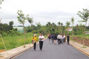 Đất nền vùng ven ăn theo sáp nhập: Cảnh báo vỡ 'bong bóng'