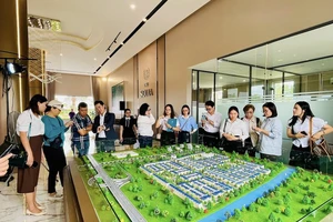 Lý do dòng tiền đổ về bất động sản vệ tinh TP.HCM