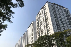 Giá căn hộ TP.HCM vẫn tiếp tục tăng