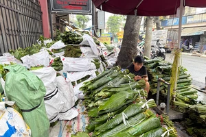 Tiểu thương bán lá dong 'ngồi trên đống lửa', giảm giá vẫn lo mất Tết