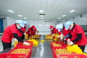 Bà nội trợ, nhà kinh doanh xoay sở trước áp lực xăng dầu