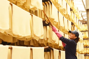 Ngành cao su Việt Nam đẩy mạnh chuyển đổi xanh để tăng trưởng bền vững