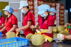 Cắt giảm thủ tục hành chính: 'Mũi khoan' khơi thông dòng vốn cho doanh nghiệp