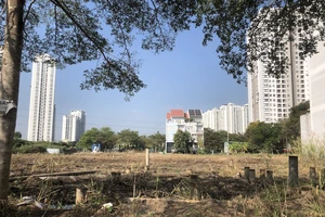 Nghị định 147: Đòn bẩy pháp lý gỡ vướng hàng ngàn dự án tồn đọng