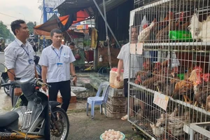Liên tiếp xử phạt tiểu thương giết mổ gia cầm trái phép