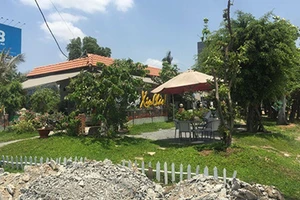 Lập đoàn kiểm tra việc thi hành pháp luật ở Bình Chánh