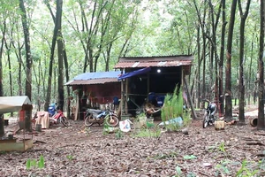 Mâu thuẫn trong khi nhậu, dùng dao đâm chết bạn