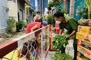 10.000 đầu mối đóng túi combo lương thực, rau xanh có thể cung cấp cho TP.HCM