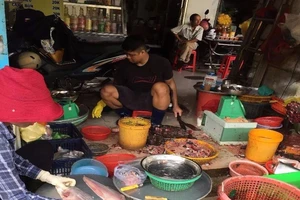 Thực phẩm nhiễm E.coli, làm gì để tự bảo vệ mình?