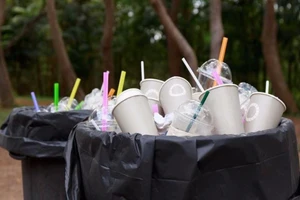 Lý do tại sao bạn nên hạn chế dùng ống hút nhựa