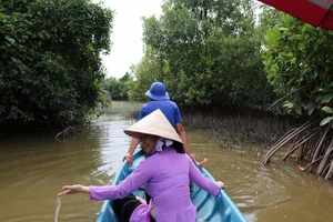 Cô gái Bến Tre mang đặc sản rừng nước mặn lên phố 