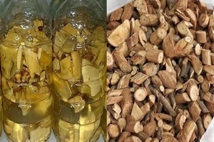 Uống rượu rễ cây: Coi chừng tử vong