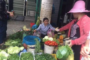 Làm gì để tránh ngộ độc thực phẩm mùa mưa lũ?