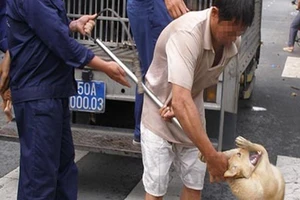 Bị phạt gần 32 triệu đồng vì nuôi chó thả rông