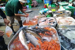 Ngày tiễn ông Táo về trời: Nhiều mặt hàng 'đắt như tôm tươi'